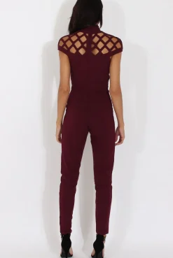 Rebellious Fashion Aubergine Cage Detail Jumpsuit - Aurelia