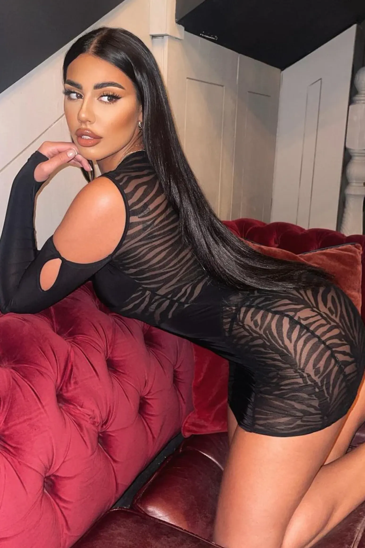 Rebellious Fashion Black Cut Out Velvet Mesh Zebra Print Mini Dress - Jayden