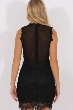 Rebellious Fashion Black Sheer Crochet Bodycon Dress - Kassi