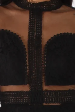Rebellious Fashion Black Sheer Mesh Lace Detail Dress - Jaylee