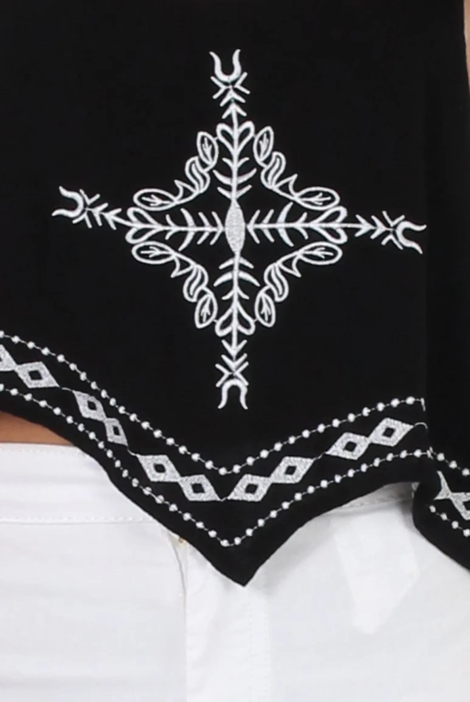 Rebellious Fashion Black Embroidered Crop Top - Wren