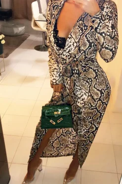 Rebellious Fashion Brown Snake Print Plunge Wrap Front Maxi Dress - Beni