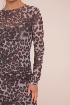 Rebellious Fashion Brown Mesh Leopard Print Mini Dress - Rosemary
