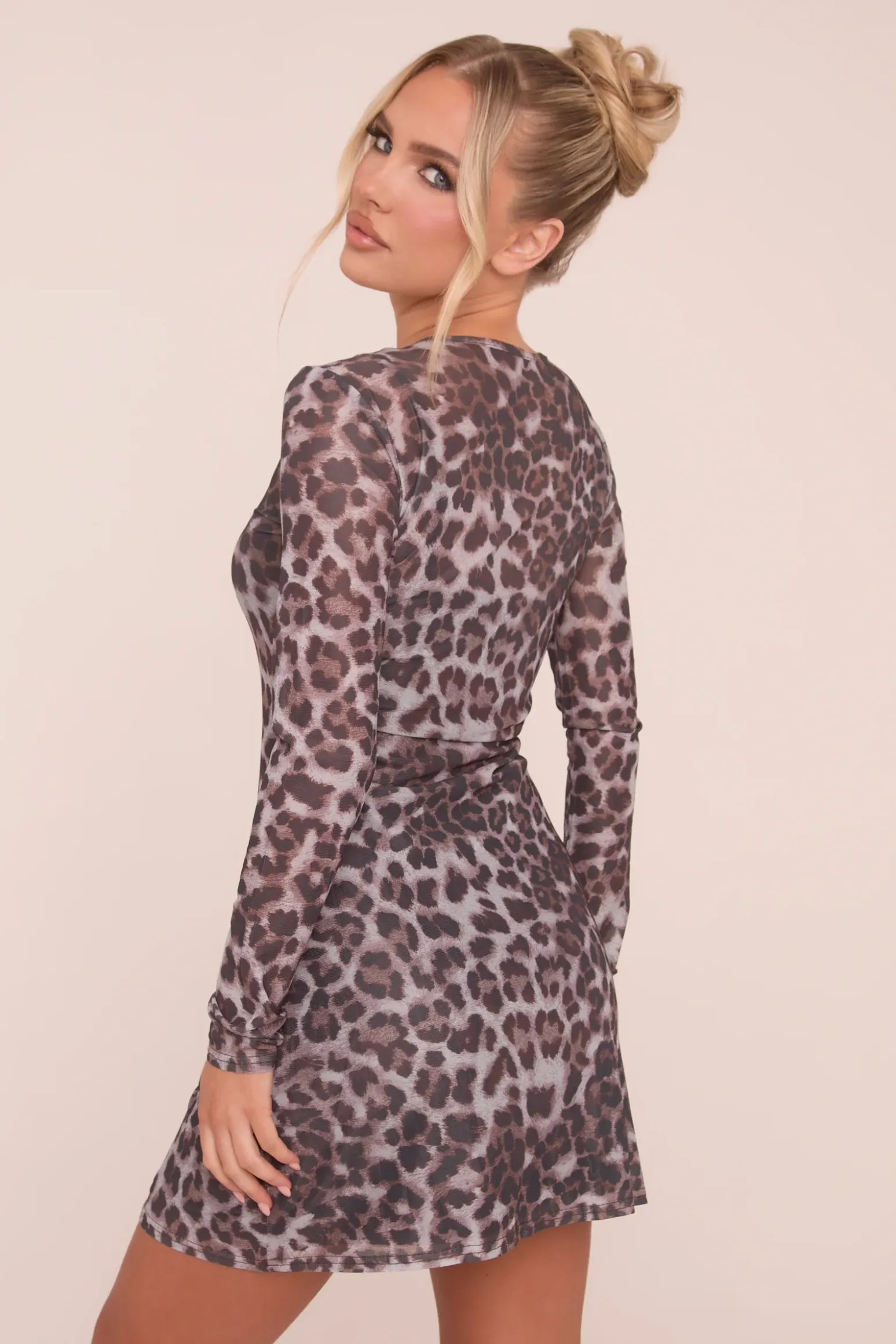 Rebellious Fashion Brown Mesh Leopard Print Mini Dress - Rosemary