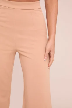 Rebellious Fashion Camel High Waist Flare Trousers -Tisha