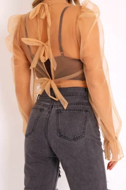 Rebellious Fashion Camel Mesh High Neck Open Back Blouse - Anthea