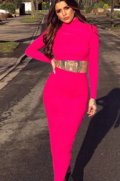Rebellious Fashion Fuchsia High Neck Rib Knit Crop Jumper - Emogene