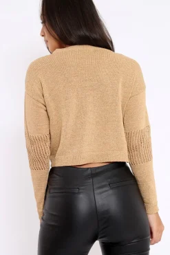 Rebellious Fashion Gold Cropped Glitter Jumper - Dannie