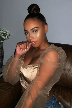 Rebellious Fashion Gold Satin Mesh Sleeve Ruched Detail Crop Top - Rya