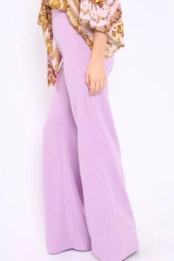 Rebellious Fashion Lilac High Waist Flare Trousers - Tisha