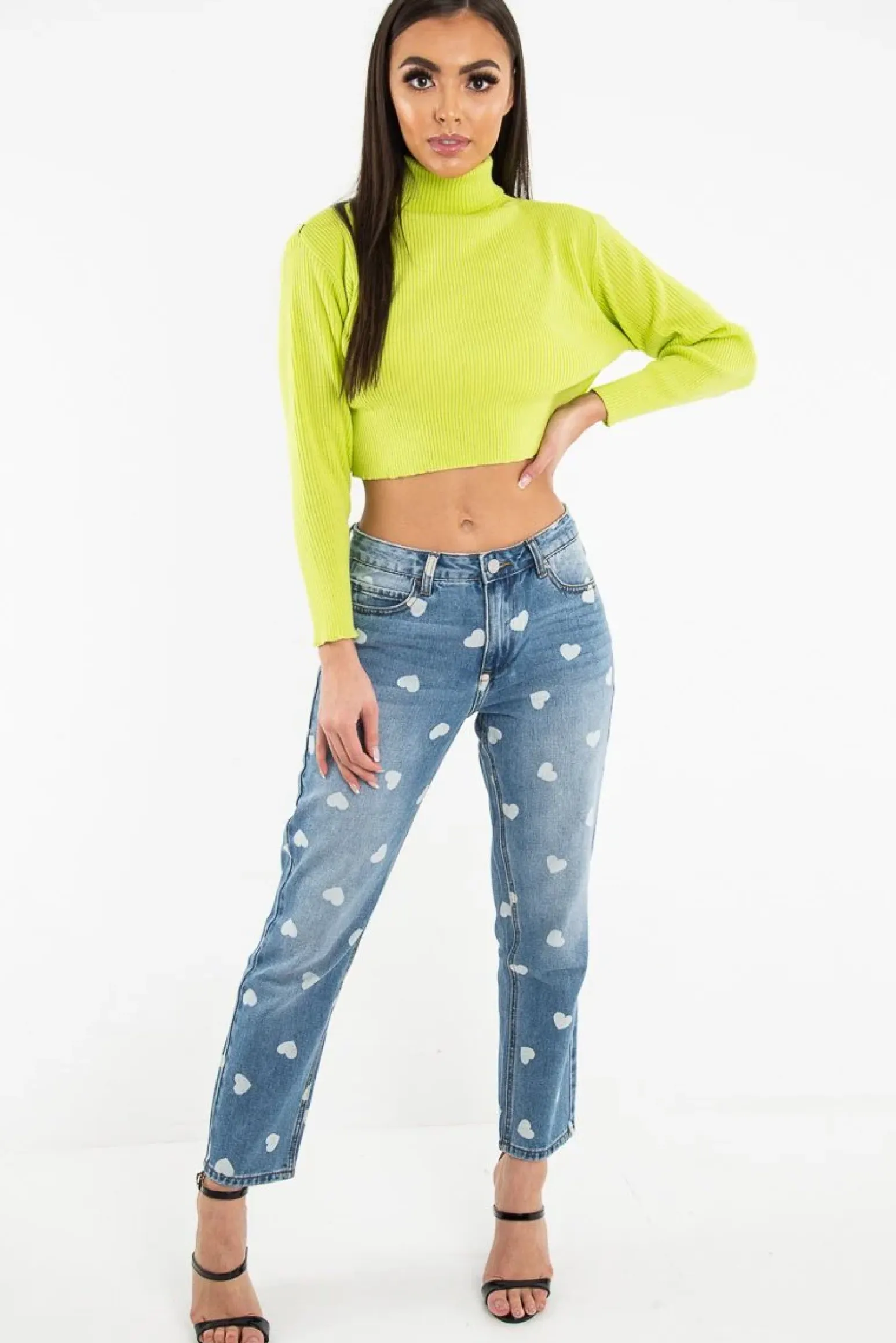 Rebellious Fashion Lime Rib Roll Neck Crop Jumper - Hayvin