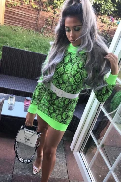 Rebellious Fashion Lime Snake Print Roll Neck Mini Jumper Dress - Azani