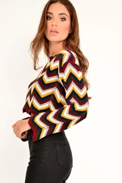 Rebellious Fashion Mustard Wine Chevron Knit Crop Jumper - Stevi