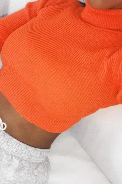 Rebellious Fashion Orange Rib Roll Neck Crop Jumper - Hayvin