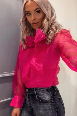 Rebellious Fashion Pink Mesh Balloon Sleeve Blouse - Elvina