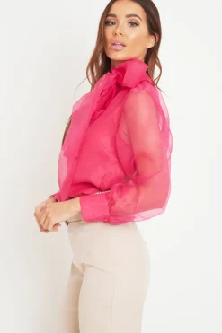 Rebellious Fashion Pink Mesh Balloon Sleeve Blouse - Elvina