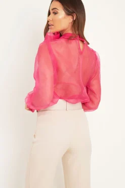 Rebellious Fashion Pink Mesh Balloon Sleeve Blouse - Elvina