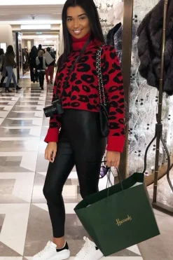 Rebellious Fashion Red Leopard Crop Roll Neck Jumper - Halley
