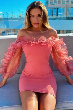 Rebellious Fashion Rose Mesh Frill Neck Bardot Mini Bodycon Dress - Ellarae