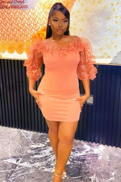 Rebellious Fashion Rose Mesh Frill Neck Bardot Mini Bodycon Dress - Ellarae