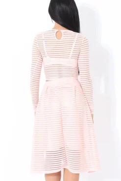 Rebellious Fashion Rose Semi Sheer Stripe Crop Top - Alix