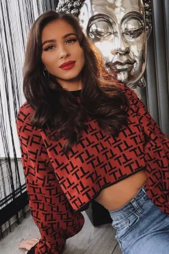 Rebellious Fashion Rust Repeat Print Crop Jumper - Ryhanna