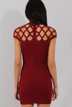 Rebellious Fashion Wine Cage High Neck Bodycon Dress- Kade