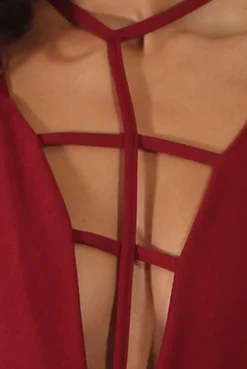Rebellious Fashion Wine Front Harness Bodycon Dress - Nella