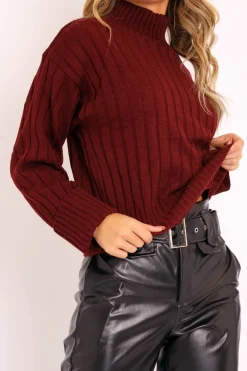 Rebellious Fashion Wine Knit High Neck Jumper - Jaelynn