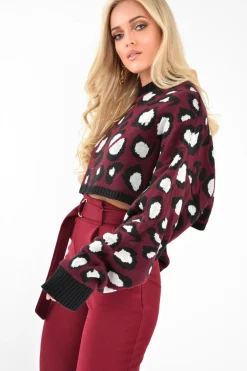 Rebellious Fashion Wine Leopard Crop Batwing Jumper - Raigen