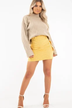 Rebellious Fashion Yellow Blue Check Ruffle Waist Zip Front Skirt - Izzie