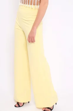 Rebellious Fashion Yellow High Waist Flare Trousers -Tisha